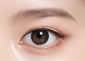 インアウトライン